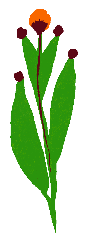 logo sophro-vivances sophrologie Lyon